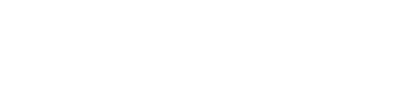 Valdani Trading Logo